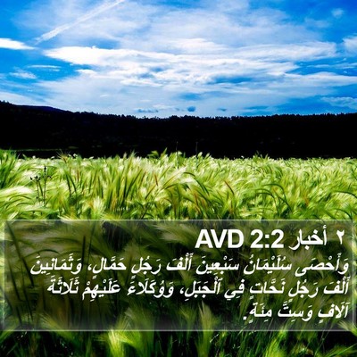 ٢ أخبار 2:2 AVD Bible Verse Image