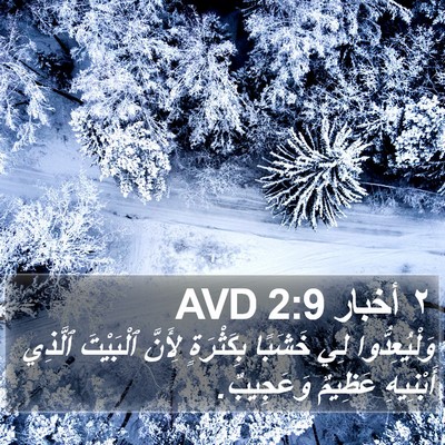 ٢ أخبار 2:9 AVD Bible Verse Image