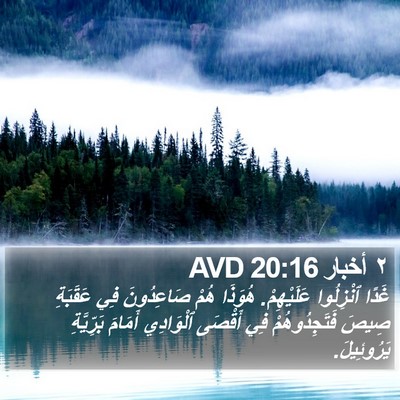 ٢ أخبار 20:16 AVD Bible Verse Image