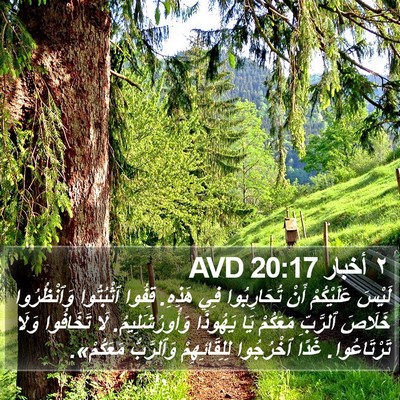 ٢ أخبار 20:17 AVD Bible Verse Image