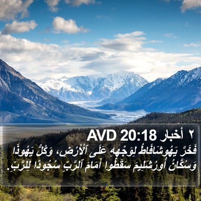 ٢ أخبار 20:18 AVD Bible Verse Image
