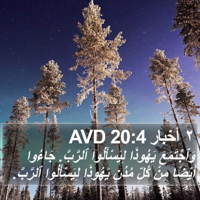 ٢ أخبار 20:4 AVD Bible Verse Image