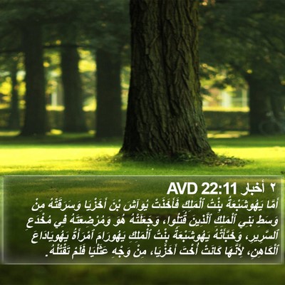 ٢ أخبار 22:11 AVD Bible Verse Image