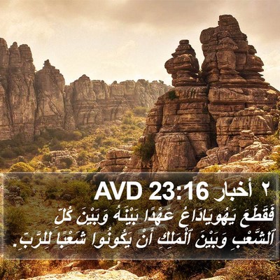 ٢ أخبار 23:16 AVD Bible Verse Image