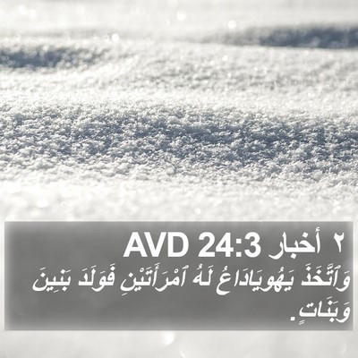 ٢ أخبار 24:3 AVD Bible Verse Image