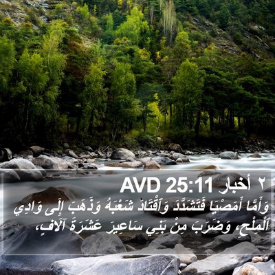 ٢ أخبار 25:11 AVD Bible Verse Image