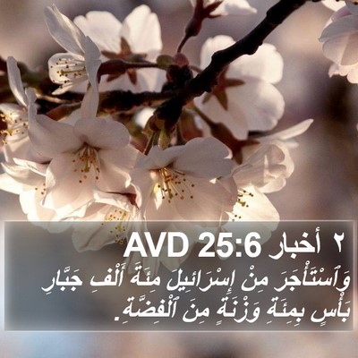 ٢ أخبار 25:6 AVD Bible Verse Image