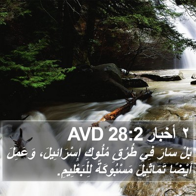 ٢ أخبار 28:2 AVD Bible Verse Image