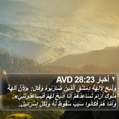 ٢ أخبار 28:23 AVD Bible Verse Image