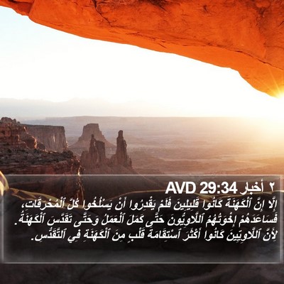 ٢ أخبار 29:34 AVD Bible Verse Image