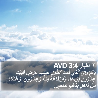 ٢ أخبار 3:4 AVD Bible Verse Image