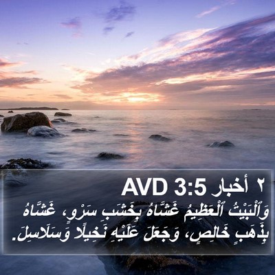 ٢ أخبار 3:5 AVD Bible Verse Image
