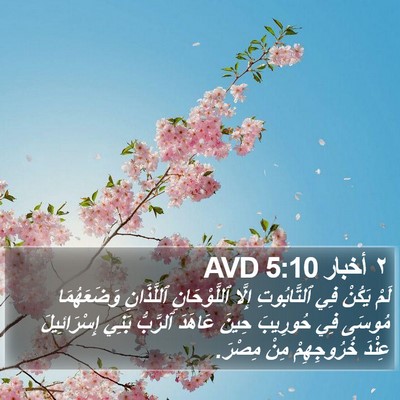 ٢ أخبار 5:10 AVD Bible Verse Image