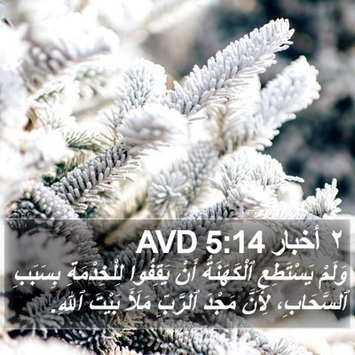 ٢ أخبار 5:14 AVD Bible Verse Image