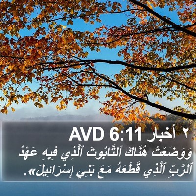 ٢ أخبار 6:11 AVD Bible Verse Image