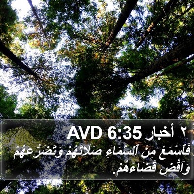 ٢ أخبار 6:35 AVD Bible Verse Image