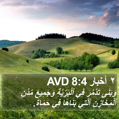 ٢ أخبار 8:4 AVD Bible Verse Image