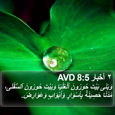 ٢ أخبار 8:5 AVD Bible Verse Image