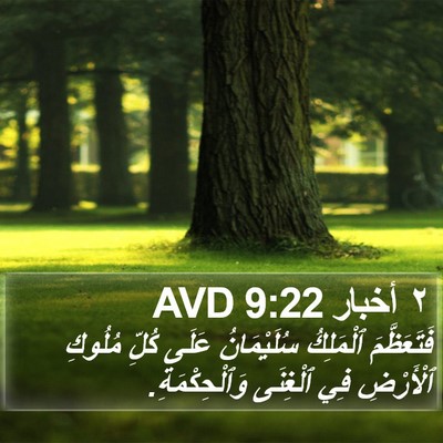 ٢ أخبار 9:22 AVD Bible Verse Image