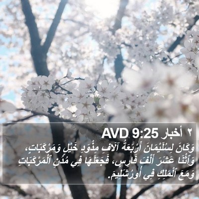 ٢ أخبار 9:25 AVD Bible Verse Image