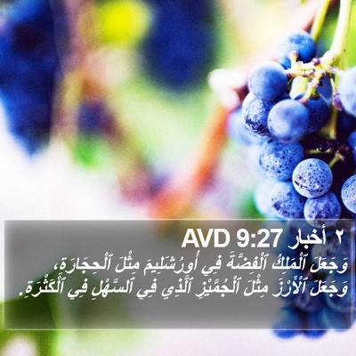 ٢ أخبار 9:27 AVD Bible Verse Image
