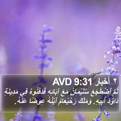 ٢ أخبار 9:31 AVD Bible Verse Image