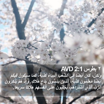 ٢ بطرس 2:1 AVD Bible Verse Image