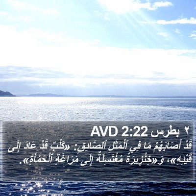 ٢ بطرس 2:22 AVD Bible Verse Image