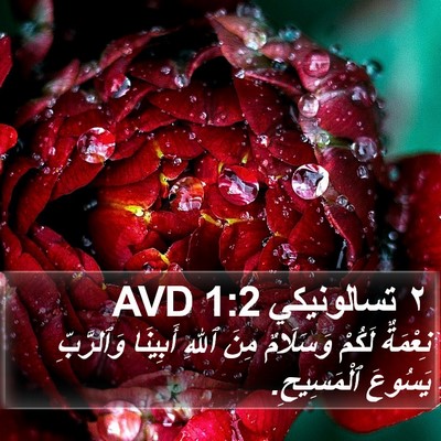 ٢ تسالونيكي 1:2 AVD Bible Verse Image