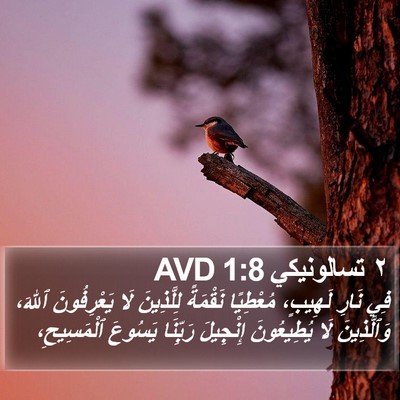 ٢ تسالونيكي 1:8 AVD Bible Verse Image