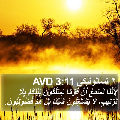 ٢ تسالونيكي 3:11 AVD Bible Verse Image