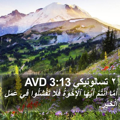 ٢ تسالونيكي 3:13 AVD Bible Verse Image