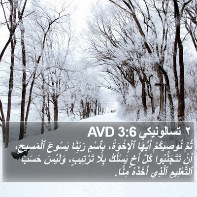 ٢ تسالونيكي 3:6 AVD Bible Verse Image