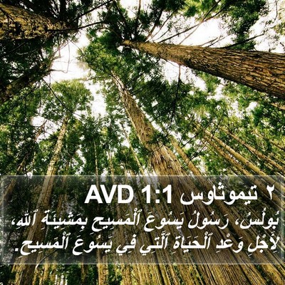 ٢ تيموثاوس 1:1 AVD Bible Verse Image