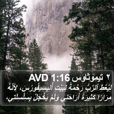 ٢ تيموثاوس 1:16 AVD Bible Verse Image