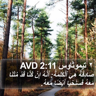 ٢ تيموثاوس 2:11 AVD Bible Verse Image