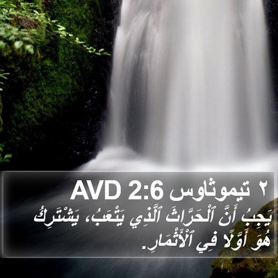 ٢ تيموثاوس 2:6 AVD Bible Verse Image