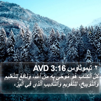 ٢ تيموثاوس 3:16 AVD Bible Verse Image