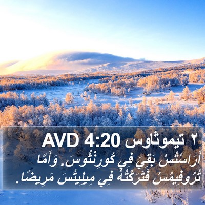 ٢ تيموثاوس 4:20 AVD Bible Verse Image