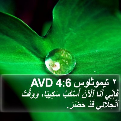 ٢ تيموثاوس 4:6 AVD Bible Verse Image
