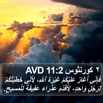 ٢ كورنثوس 11:2 AVD Bible Verse Image