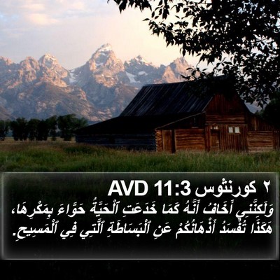 ٢ كورنثوس 11:3 AVD Bible Verse Image