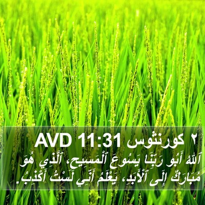 ٢ كورنثوس 11:31 AVD Bible Verse Image