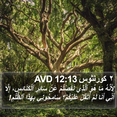 ٢ كورنثوس 12:13 AVD Bible Verse Image