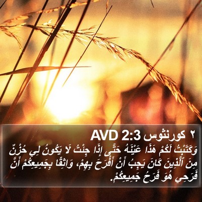 ٢ كورنثوس 2:3 AVD Bible Verse Image