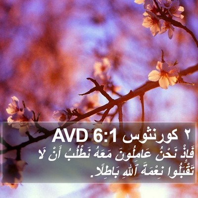 ٢ كورنثوس 6:1 AVD Bible Verse Image