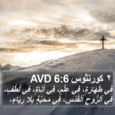 ٢ كورنثوس 6:6 AVD Bible Verse Image