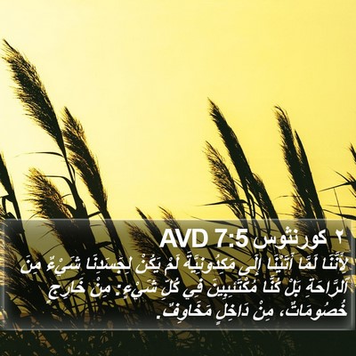 ٢ كورنثوس 7:5 AVD Bible Verse Image