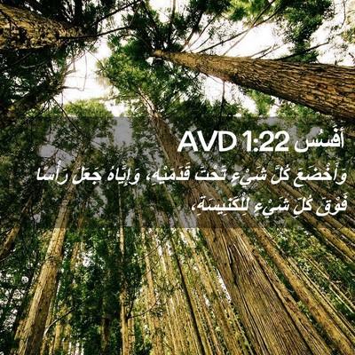 Picture 02 - أفَسُس 1:22 AVD - وَأَخْضَعَ كُلَّ شَيْءٍ - Bible Verse Picture