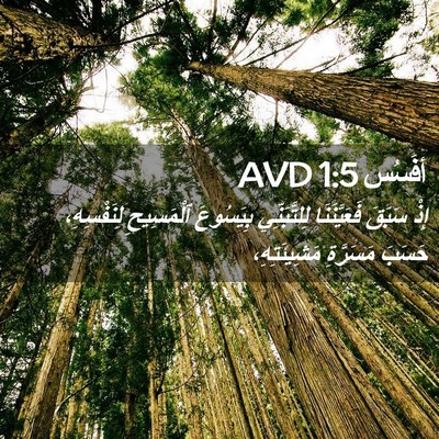 Picture 02 - أفَسُس 1:5 AVD - إِذْ سَبَقَ فَعَيَّنَنَا - Bible Verse Picture